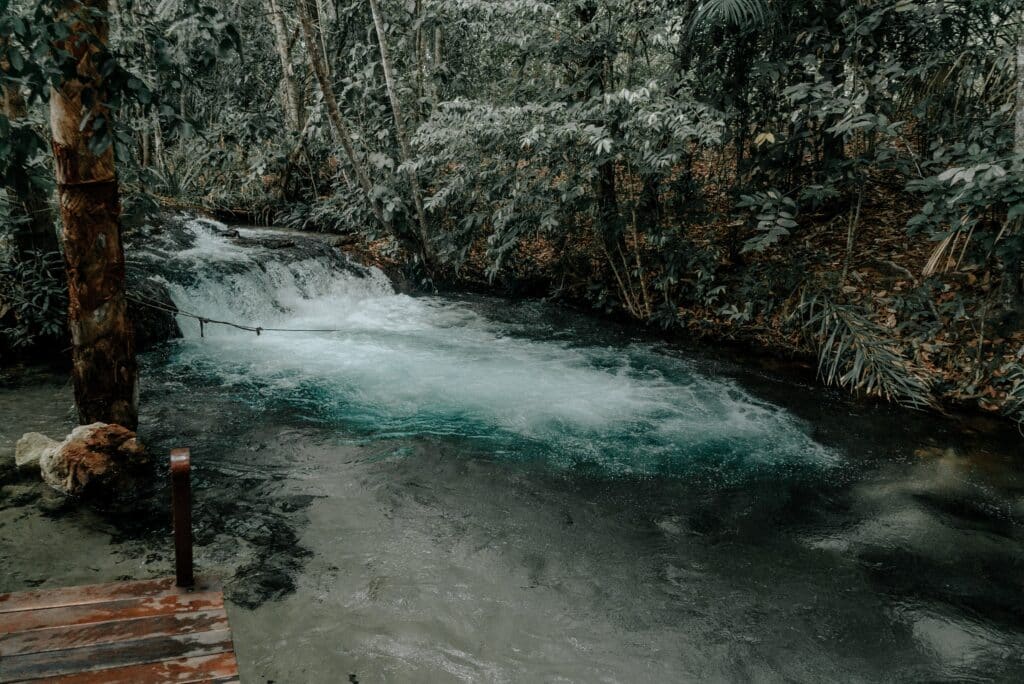 Veja as melhores opções de onde ficar no Jalapão. Águas cristalinas nos Fervedouros do Jalapão Veja as melhores opções de onde ficar no Jalapão. Águas cristalinas nos Fervedouros do Jalapão