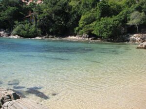Read more about the article Confira porque a Praia da Lagoinha, SC, merece sua visita!
