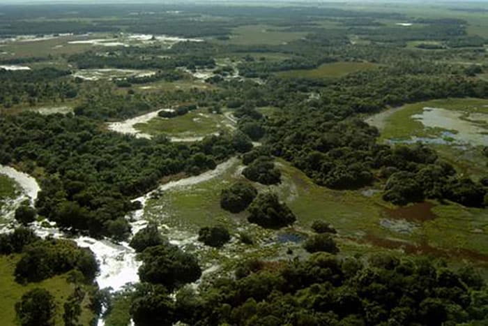 3 Lugares imperdíveis no Mato Grosso - Pantanal