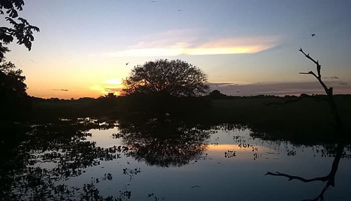 Onde se hospedar no Pantanal: Clique e descubra 3 lugares lindos - Pantanal Matogrossense