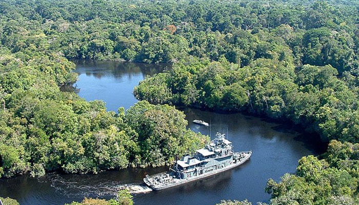 Curiosidades interessantes sobre Rondônia que nos surpreenderam e são encantadoras - Vista da floresta em Rondônia