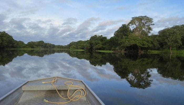 You are currently viewing Curiosidades sobre o Amazonas que surpreendem e encantam quem viaja para lá