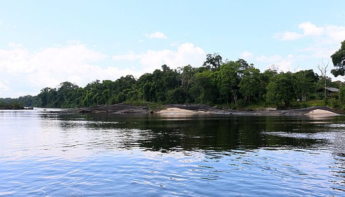 3 Praias maravilhosas do Amapá que deixam os viajantes apaixonados - Visão da floresta e rio do Amapá