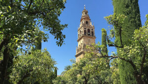 Read more about the article Pontos turísticos em Córdoba que são os top 3 na lista de qualquer visitante