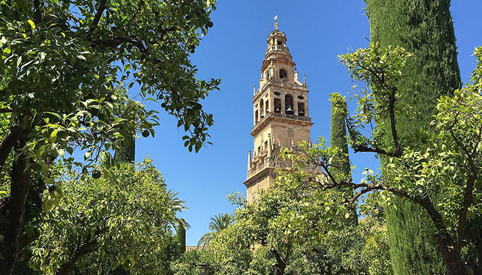 Pontos turísticos em Córdoba que são os top 3 na lista de qualquer visitante  - Mesquita-Catedral de Córdoba