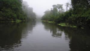 Read more about the article Cidades turísticas no Amazonas que precisam estar na sua lista de viagens