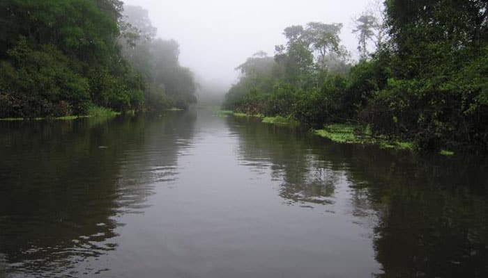 Cidades turísticas no Amazonas que precisam estar na sua lista de viagens - Rio Amazonas
