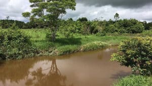 Leia mais sobre o artigo Cidades turísticas em Rondônia que todo viajante conhece e se apaixona