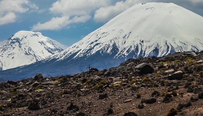 3 parques nacionais no Chile para visitar nas férias deste ano - Parque Nacional Lauca
