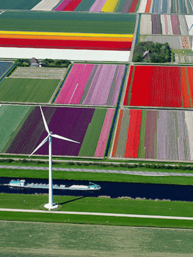 Leia mais sobre o artigo Olhos e Águia: Imagens  Aéras de Tirar o Fôlego