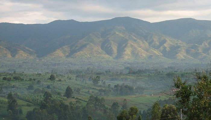 Parques nacionais lindos em Uganda para colocar na lista de viagem - Parque Nacional das Montanhas Rwenzori