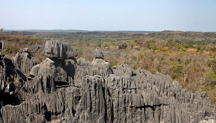 3 Lugares incríveis em Madagascar para conhecer enquanto ainda é possível - Tsingy de Bemaraha