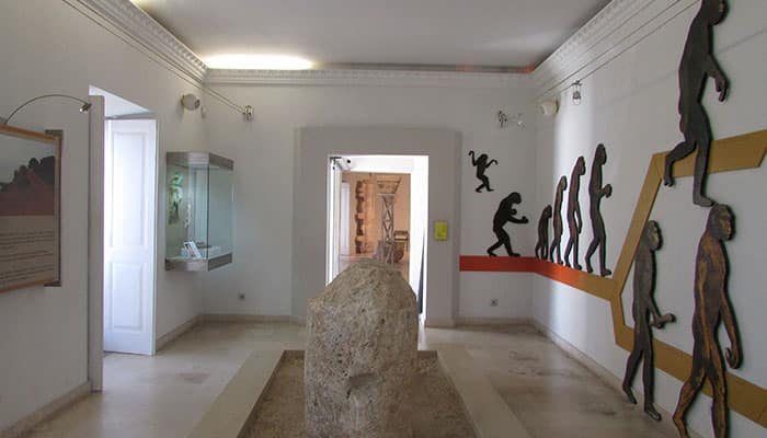 Os 3 Melhores museus no Algarve, Portugal, para visitar ainda esse ano - Museu Municipal de Arqueologia