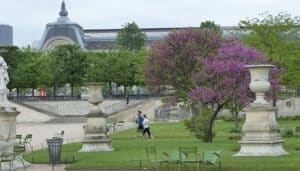 Read more about the article Lugares para caminhar em Paris e curtir a cidade bem de perto