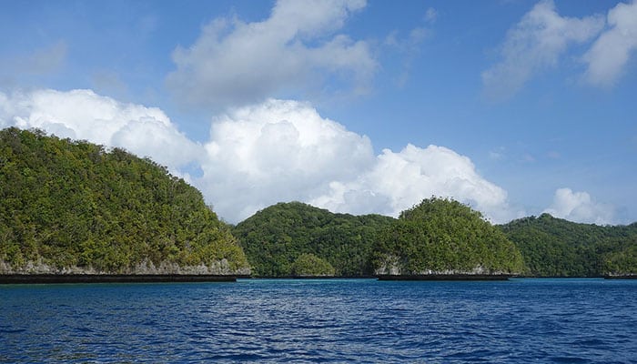 Read more about the article Curiosidades sobre Palau que vão encantar você na próxima viagem pela Oceania