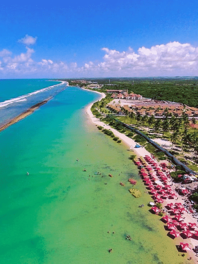 Leia mais sobre o artigo As 5 Prais mais perigosas do Mundo