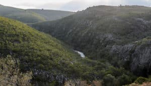 Leia mais sobre o artigo 3 Dicas de ecoturismo no Uruguai: Conheça a natureza de perto!