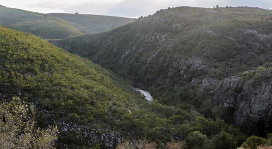 3 Dicas de ecoturismo no Uruguai: Conheça a natureza de perto! - Quebrada de los Cuervos